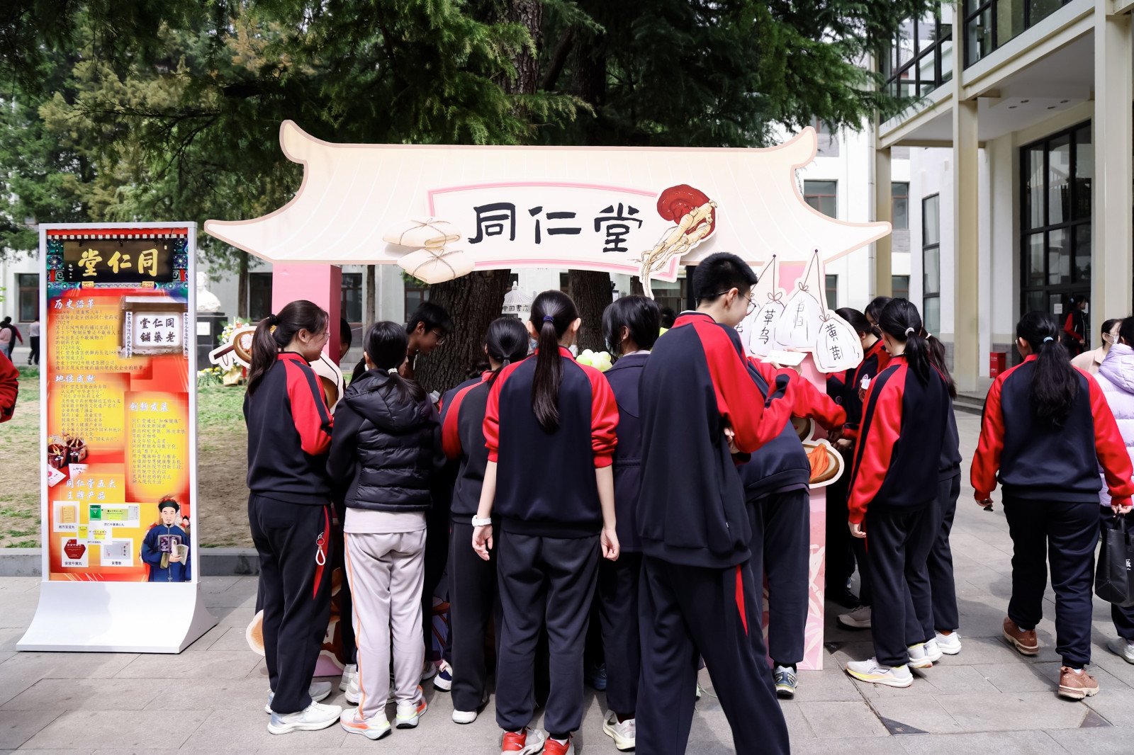 20260417497179.jpg 同题参见恰逢春光正好